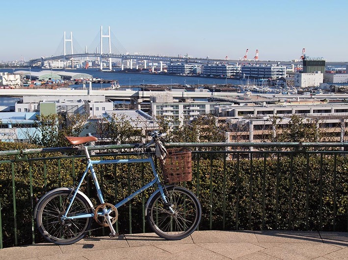 今度は右腕上がらない!!  でも自転車は乗れた