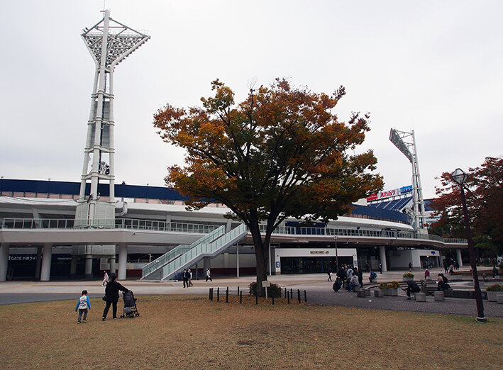 写真11