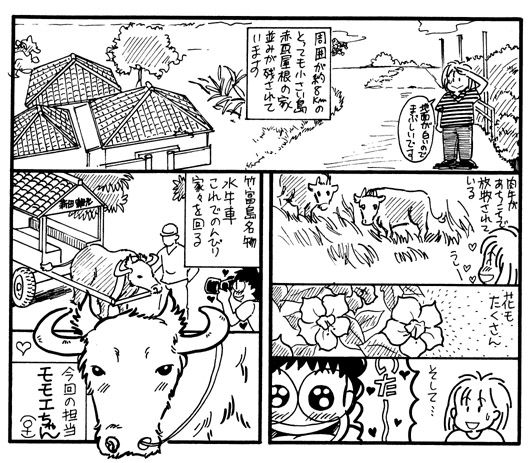 イメージ 5