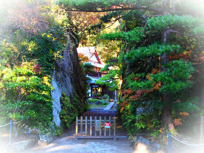 写真16