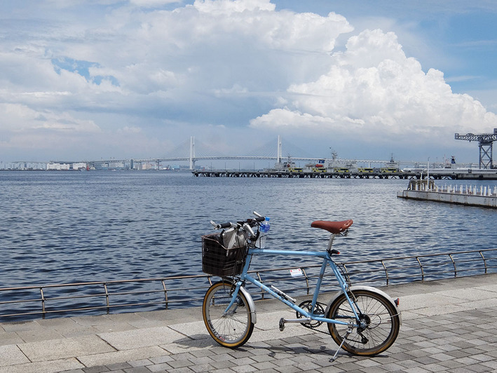 凄い電動アシスト自転車!?