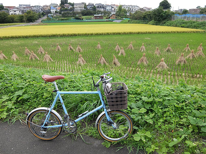 写真7