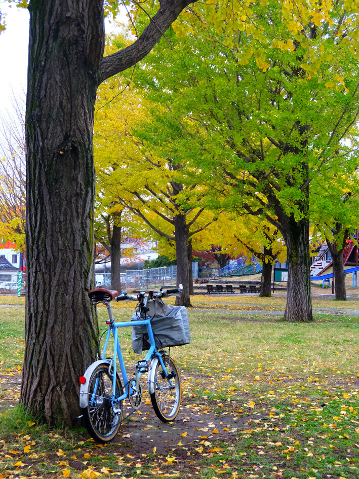 写真4