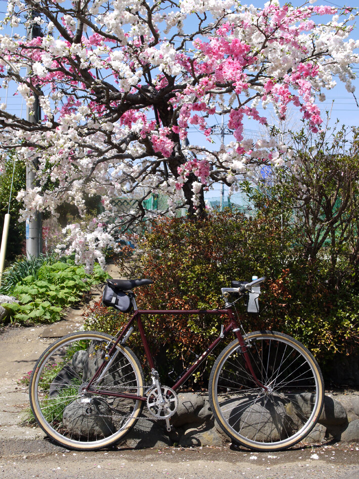 写真100
