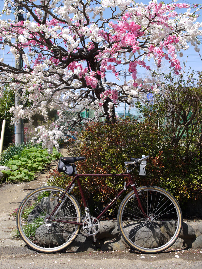 Yahoo!ブログ ＆ CycleStyle Cafe ありがとう!!