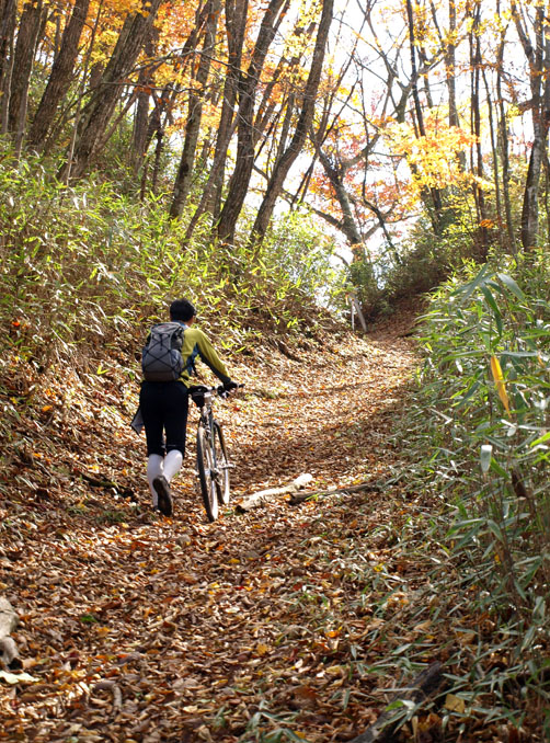 切り通しの峠路