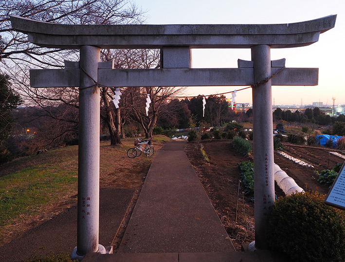 夕景・夜景、ナイトポタリング♪