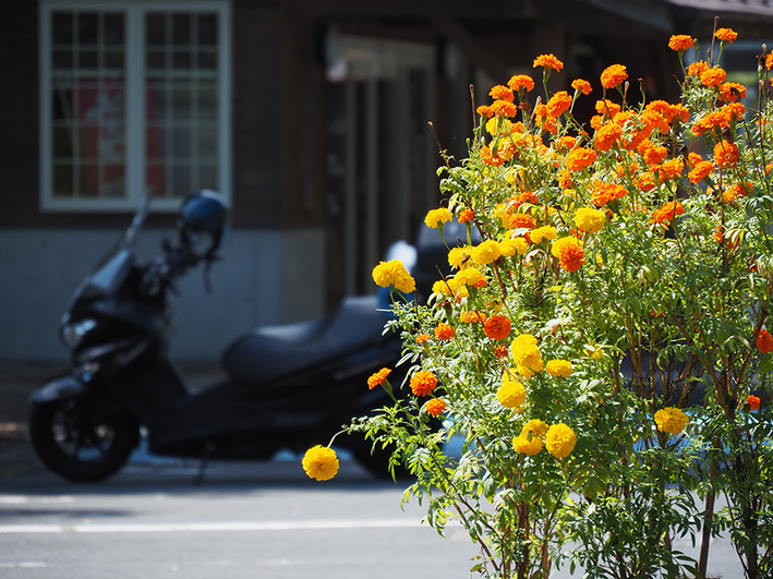マツダロードスターと危ない車!!