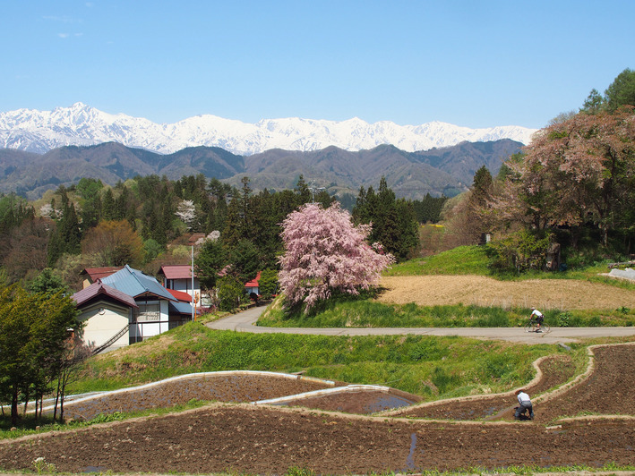 気持ちの良い道走ってますか!?