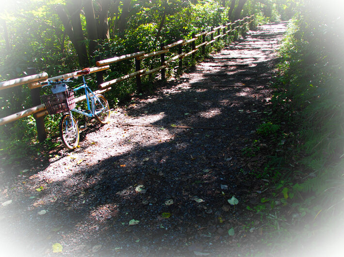 写真7