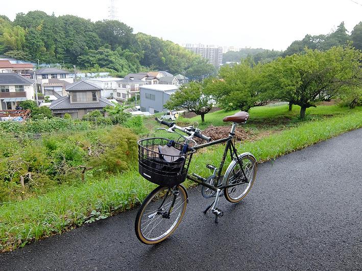 盆の入りと突然の雨