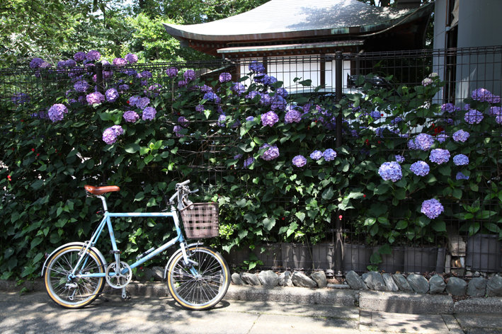 写真1