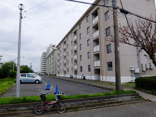 イメージ 16