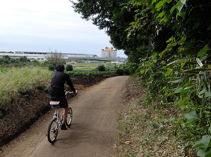 境川サイクリングとクランク交換