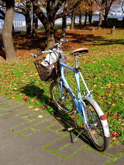 自転車で根岸森林公園へ　温かな冬景色