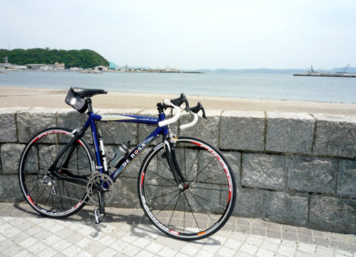 イメージ 6