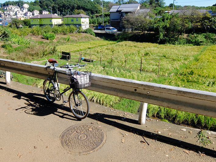 新治18