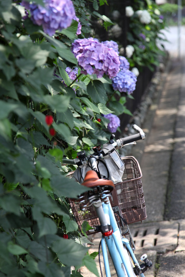 写真2