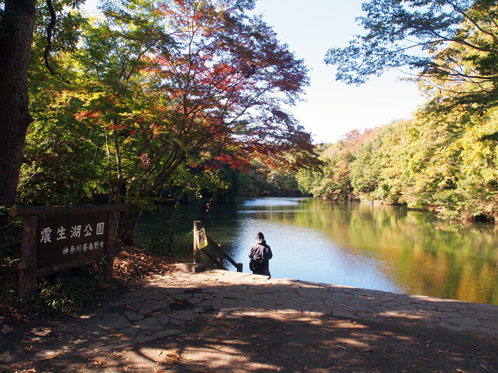 写真17