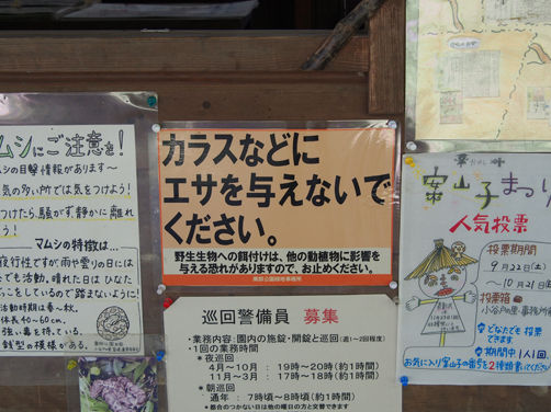 イメージ 9