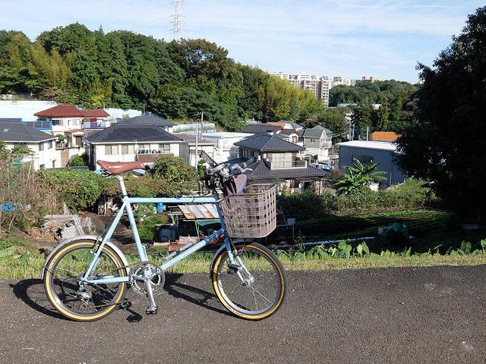 赤い 黄色い 緑の天ぷらうどん!!