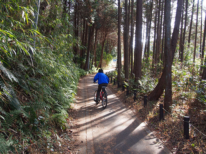 写真111
