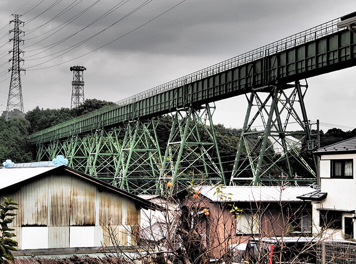 写真501