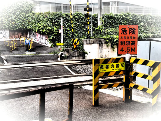 イメージ 1
