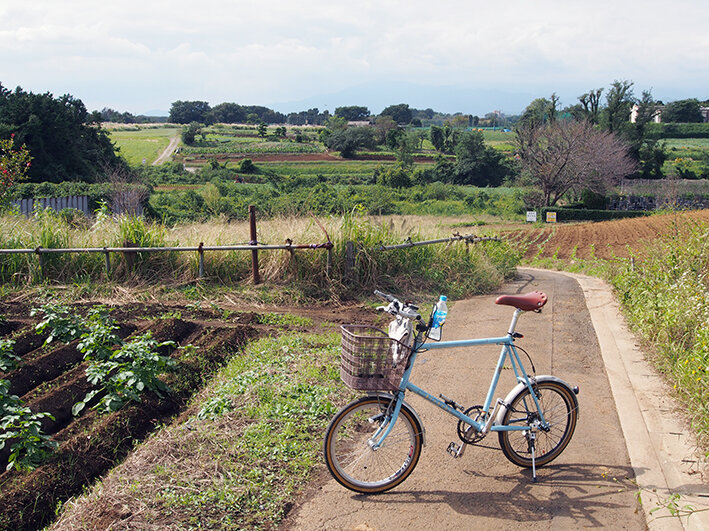 写真7