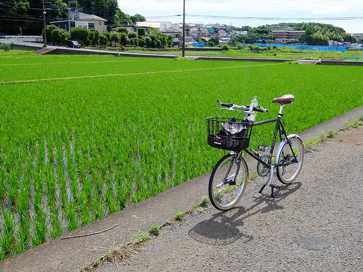 夏ポタ3