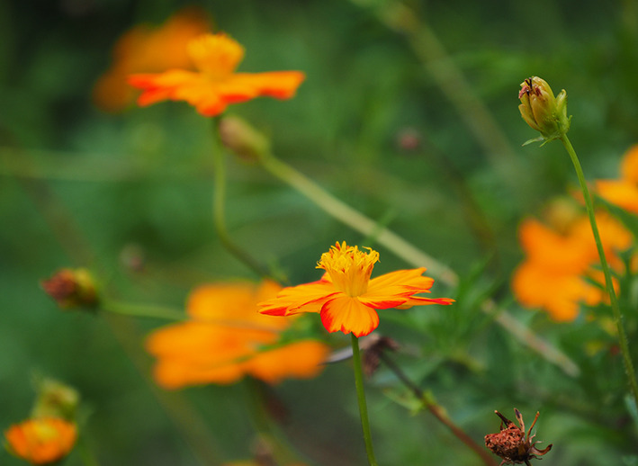 こんな場所にジャイアントストア（驚）!!
