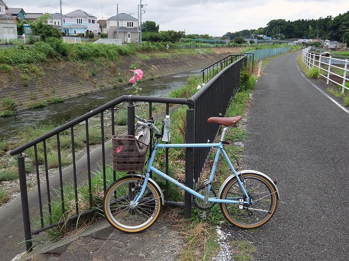 夏ポタ2