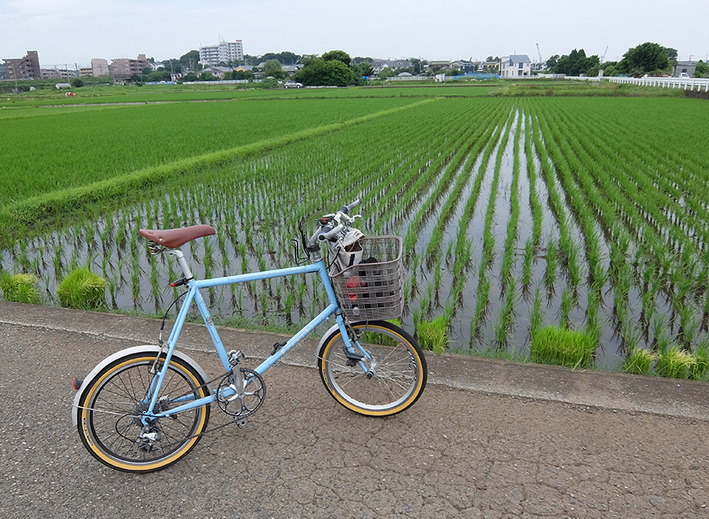 フォルクスワーゲンのミニベロ!!