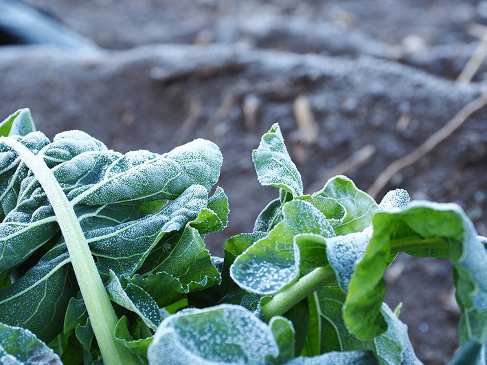 大盛りラーメン　ギブアップ寸前!!