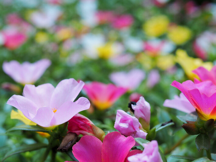 写真4
