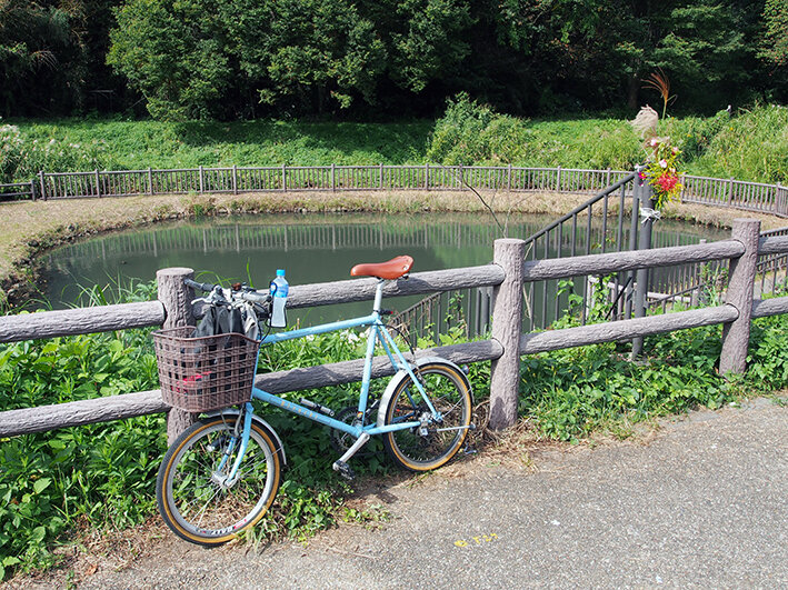 写真5