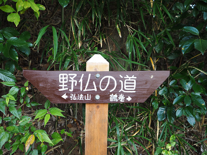 山歩き14