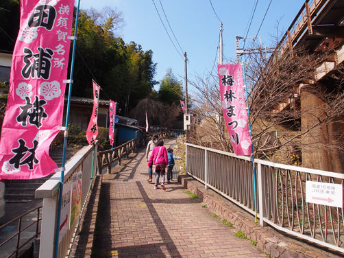イメージ 8