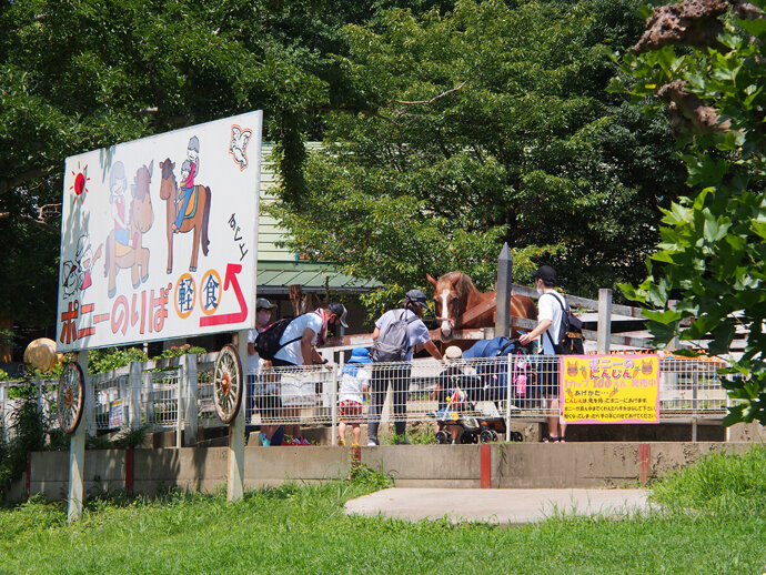写真14