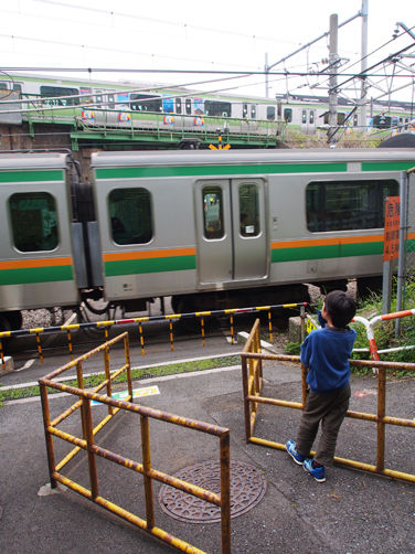 イメージ 14