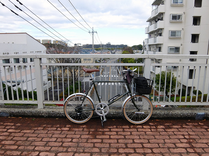 丹下チャンピオンNo3  フレーム!?