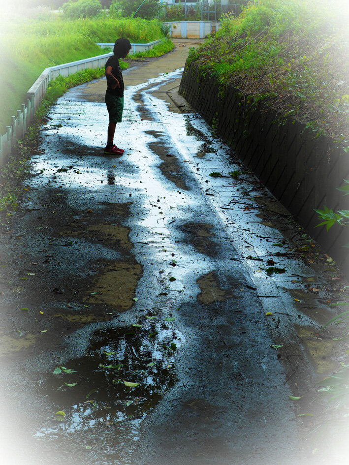写真1