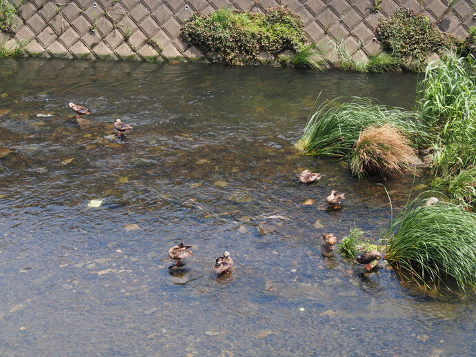 写真5