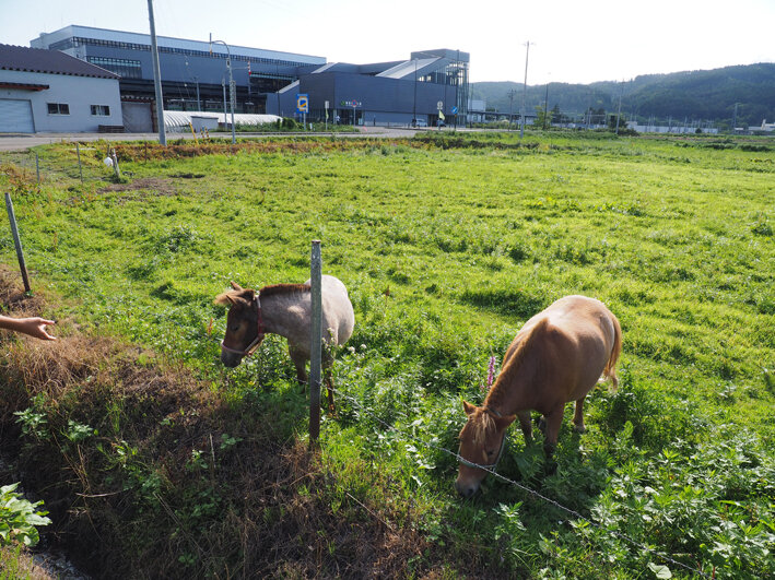 写真2
