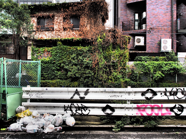 写真1