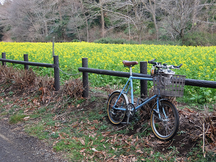 自転車部品ネット注文イライラ……!!