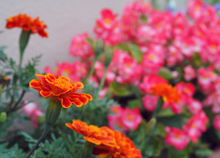 写真2