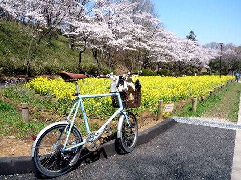 イメージ 2