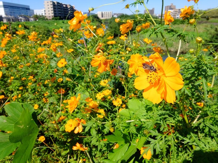 新治5