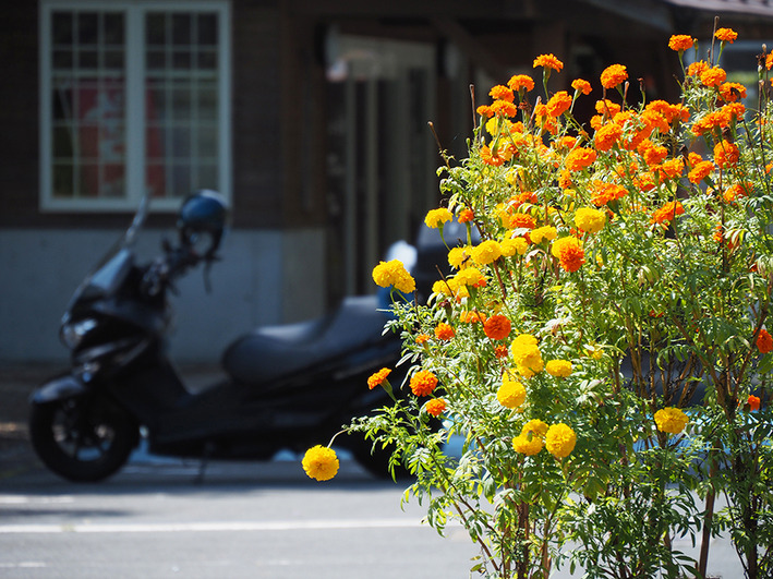 今年も八ヶ岳山麓キャンプツーリング!!